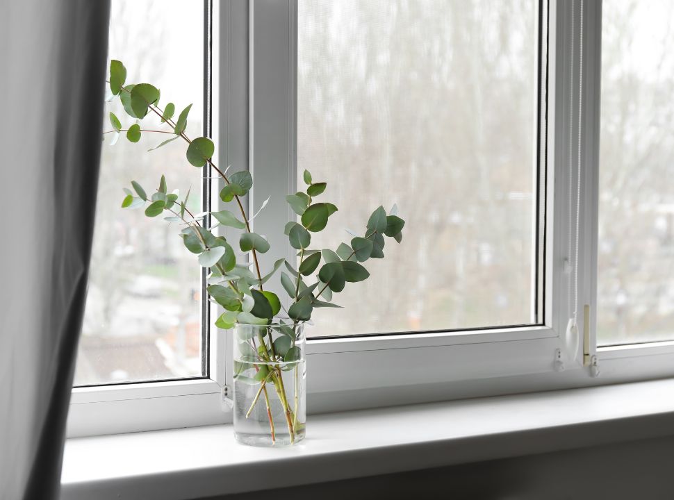 overzet met een plantje